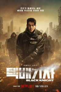 Чёрный рыцарь. Сериал (2023)